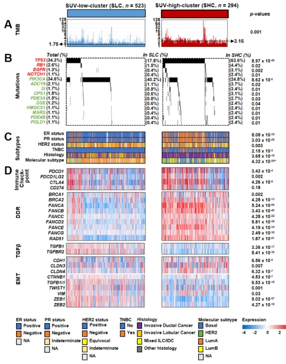Figure 3. Association between standardized uptake value (SUV) subgroups and core molecular features in breast cancer (BRC)