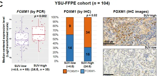 Figure 1. Comparison of the standard uptake value (SUV) and the expression patterns of SUV-