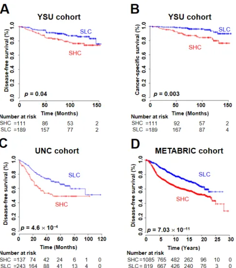 Figure 2. Prognosis of two subgroups dichotomized by the standardized uptake value (SUV) 