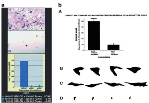 Figure 4 NSCs can express functional genes within a pathological situation (modified from Ref