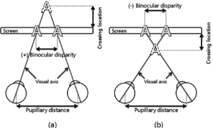 Fig. 1. Principle of stereoscopic vision. (a) Perception of the far distance and (b) Perception of the close distance.
