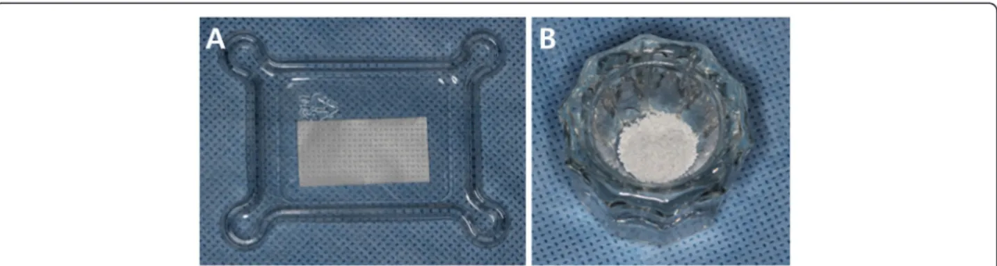 Fig. 1 Collagen membrane and biphasic calcium phosphate. (a) A novel EDC crosslinked collagen membrane (Dalim Tissen©) was applied over the defects