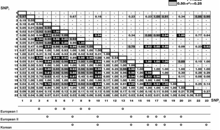 Table 3 Haplotypes from the shared SNP set 1.
