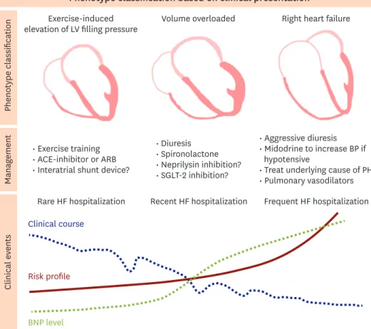 Figure 2.  Phenotype classification of HF with preserved ejection fraction based on clinical presentations