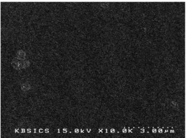 Fig. 8. Surface morphology of soft contact contact lens by SEM.