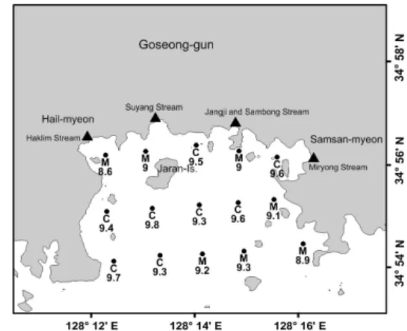 Fig.  2.  Spatial  distribution  of  the  sedimentary  types  in  Jaran  Bay  (Abbreviations:  M  -  mud,  C  -  clay)