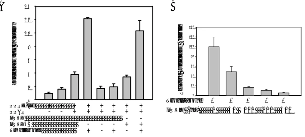 Figure 6. Inhibition of PPAR γ  transcriptional activity by HBx. Transient 