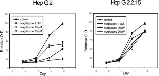 Figure 7. HBx abolishes the inhibitory effect of troglitazone on cellular proliferation