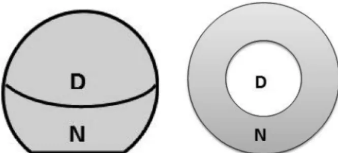 Fig. 1. Alternating and simultaneous (concentric) design for multifocal contact lenses (D=Distance, N=Near).