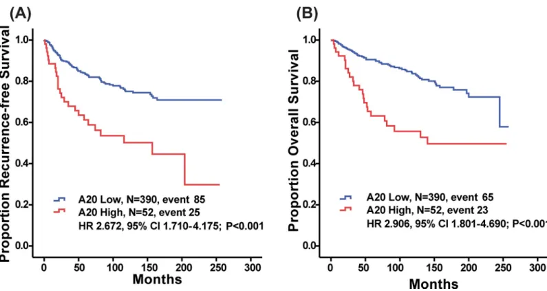 Fig 1. Kaplan-Meier plots of recurrence free survival (RFS) and overall survival (OS) according to A20 expression level