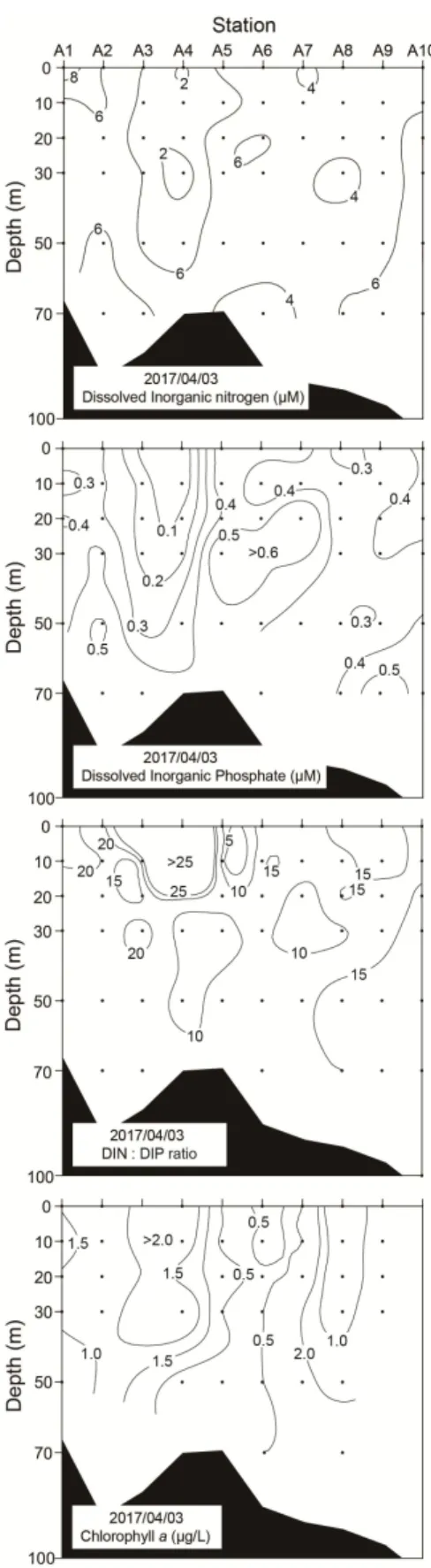 Fig.  4.  Vertical  distributions  of  total  alkaline  phosphatase  (T-APase),  dissolved  alkaline  phosphatase  (D-APase)  and  particulate  alkaline  phosphatase  (P-APase)  activity  in  the  surveyed  stations.