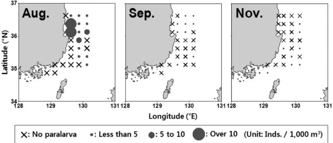 Fig.  3.  Horizontal  distributions  for  W.  scintillans  larvae  in  August,  September  and  November  in  the  study  area