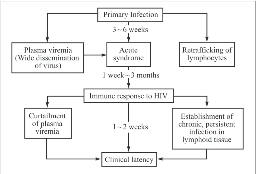 Figure 1.  Clinical course after HIV infection.