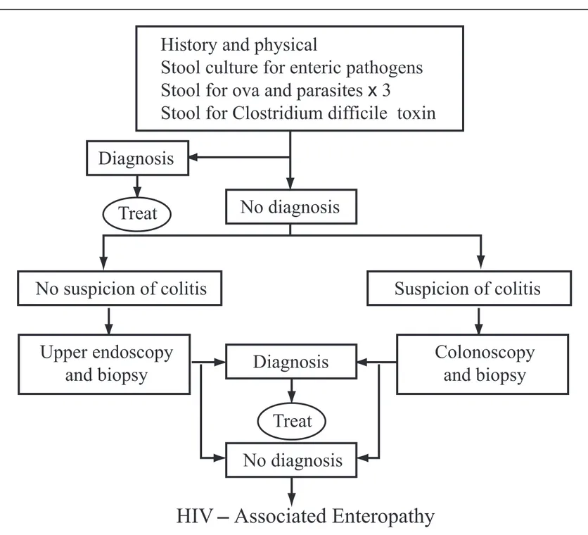 Figure 3.  Algorithm for the evaluation of diarrhea in a patient with HIV infection.