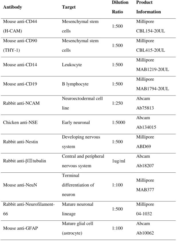 Table 1. Antibodies used in the experiments 