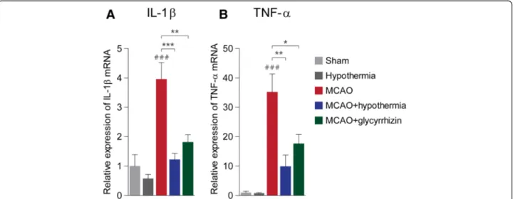 Fig. 6 Pro-inflammatory cytokine expression in the peri-infarct region after MCAO. a, Quantification of interleukin-1 β (IL-1β) expression by RT-PCR
