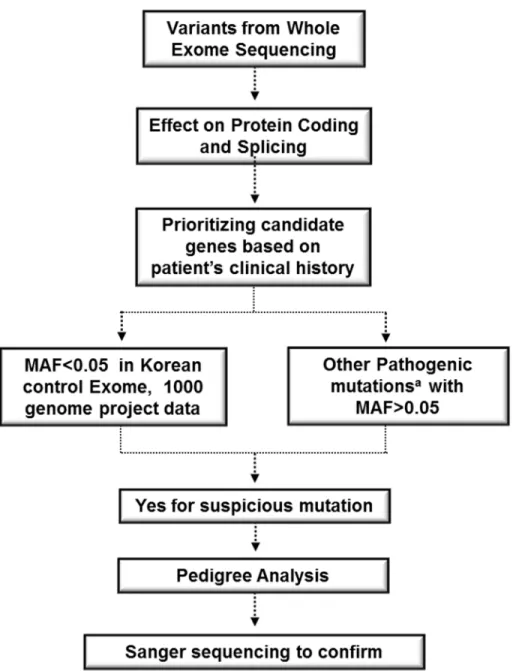 Fig 1. Workflow of whole exome sequencing bioinformatics analysis pipeline. a The pathogenicity was evaluated based on current knowledge.