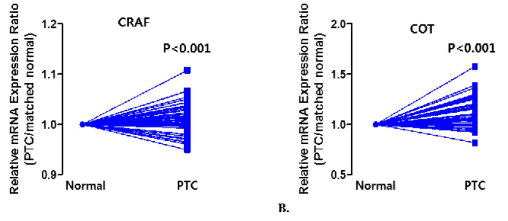 Figure  4.  Relative  mRNA  expression  in  PTC  and  matched  normal  thyroid  tissues  for  CRAF  (A),  and  COT  (B)  in  135  patients  with  PTC