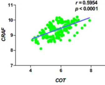 Figure  5.  Correlation  of  COT  expression  with  C-RAF  expression  in  PTC. 