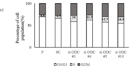 Figure 7. Silencing of ODC1 expression by siODC1 induces cell cycle arrest. 