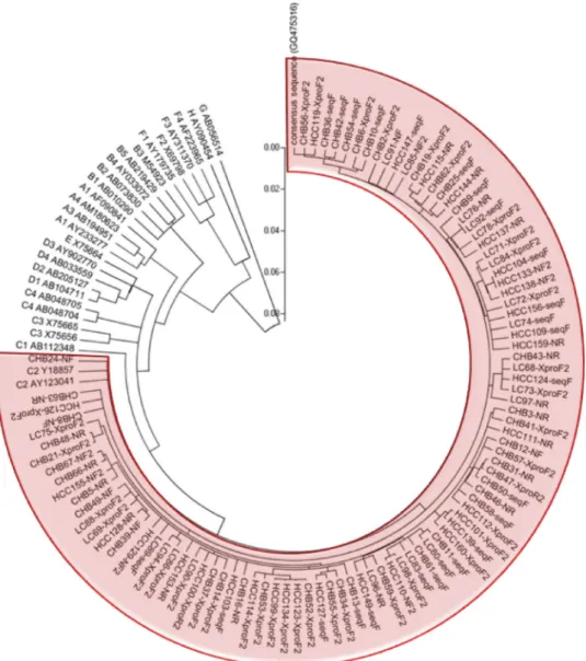 FIG. 2. Phylogenetic tree of enrolled patients developed using the neighbor-joining method