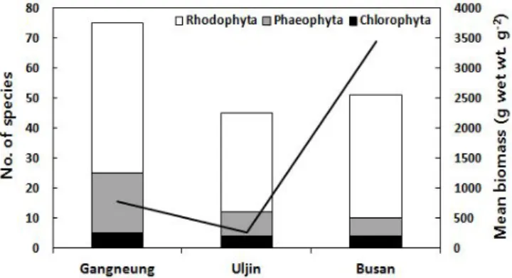 Fig.  2.  Variations  in  species  number  and  total  macroalgal  mean  biomass  (g  wet  wt