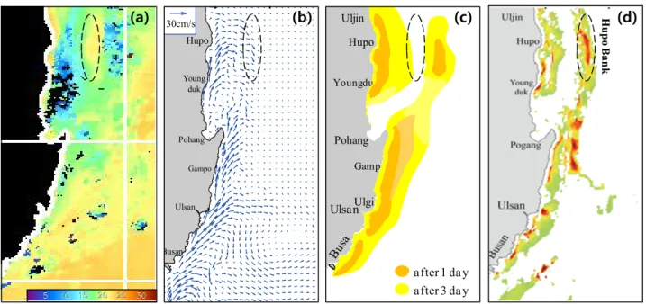 Fig.  5.  Satellite  image  of  SST  in  July  02~08,  2013  by  NIFS  (a).  Horizontal  distributions  of  rising  flows  generated  by  southwesterly  wind  9 m/s  (b)