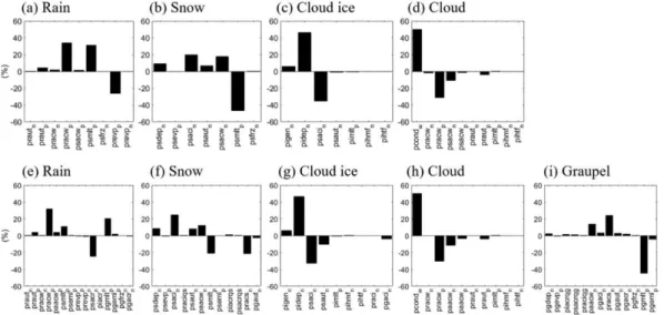 Fig. 11. Same as Fig. 6 but for the mesoscale rainfall simulation.