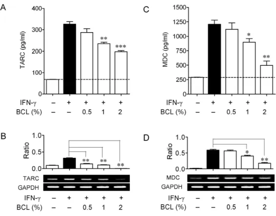 Fig.  9.  Effects  of  BCL  on  IFN-γ-induced  production  of  TARC  and  MDC  in  HaCaT  cells