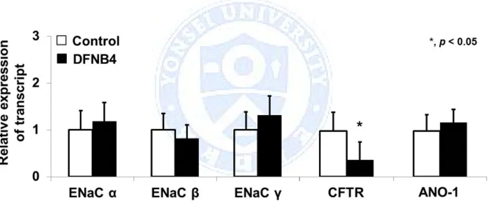 Figure  2.  Expression  of  epithelial  sodium  channels  (ENaC)  and  Cl - -channels (CFTR  and  ANO-1)  in  human  nasal  epithelial  cells  from  patients  harboring  SLC26A4 mutations  (DFNB4)  and  controls
