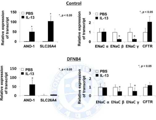Figure  3. Changes  in  ion  channel  expression  in  response  to  IL-13  treatment  (10  ng/ml)