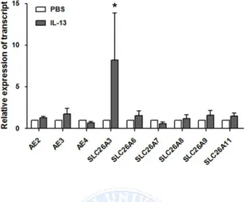 Figure  5.  Anion  exchager expression  in  cultured  human  nasal  epithelia  from controls