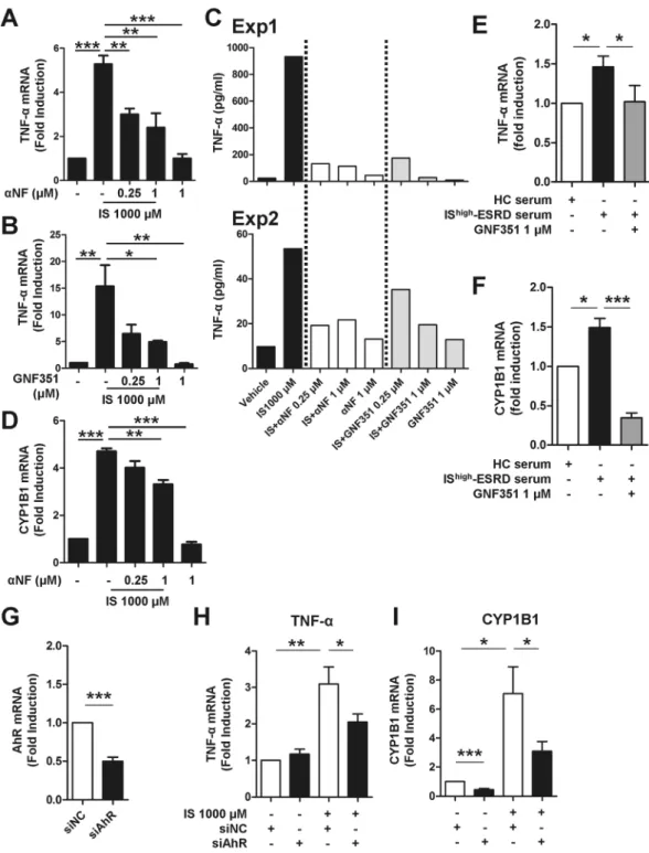 Figure 3.  IS-induced TNF-α expression is regulated through AhR activation in human monocytes