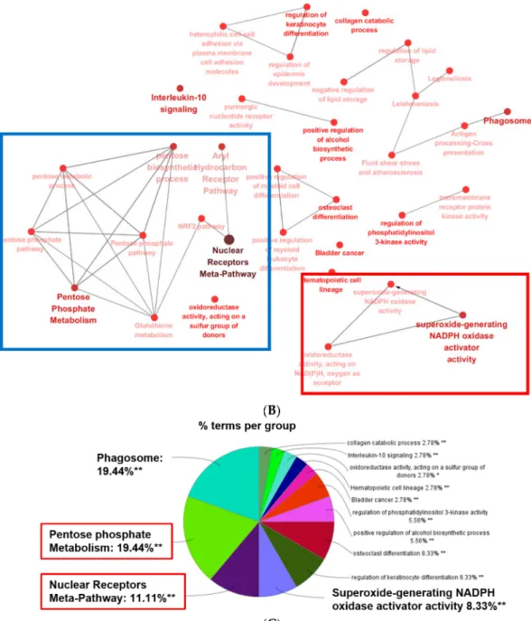 Figure 4. GO analysis of protein-protein interaction (PPI) networks for commonly upregulated DEGs in ESRD patient-derived monocytes and ex vivo IS-stimulated monocytes