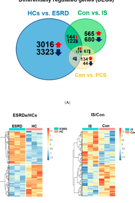Figure 2. Differentially expressed genes (DEGs) common between ESRD patient-derived monocytes