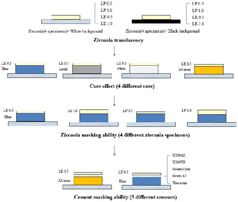 Fig 1. Flowchart of this study 