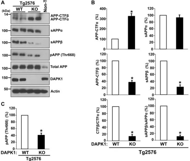 Figure 7. The effect of DAPK1 KO on APP processing in the Tg2576 APP transgenic mice. (A) APP processing in the brains of 8-month-old Tg2576/WT or Tg2576/DAPK1 KO mice was examined (3M, 3F)