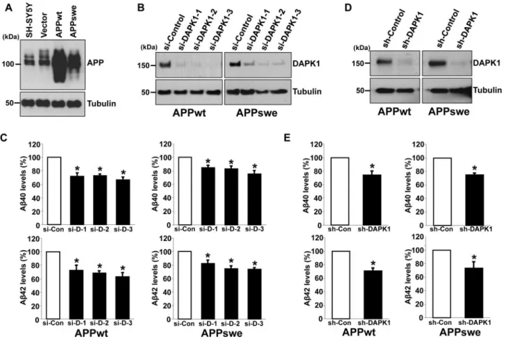 Figure 2. DAPK1 inhibition reduces the secretion of human Ab40 and Ab42 from both SH-SY5Y APPwt and SH-SY5Y APPswe cells