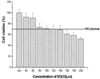 Fig. 3. Protective effects of EGCG on against H 2 O 2 -induced cytotoxicity of clone 1-5c-4 cell line