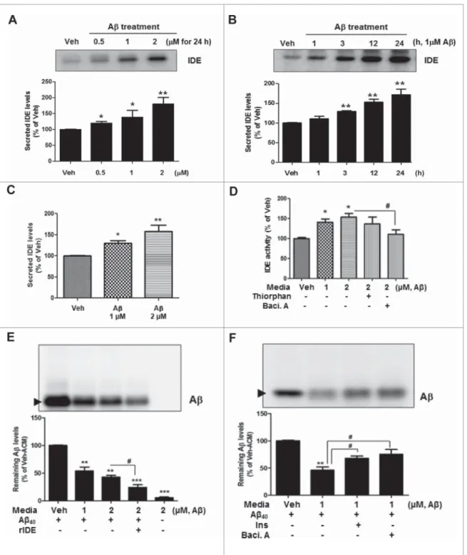Figure 1. A b induces extracellular secretion of functional IDE from primary astrocytes