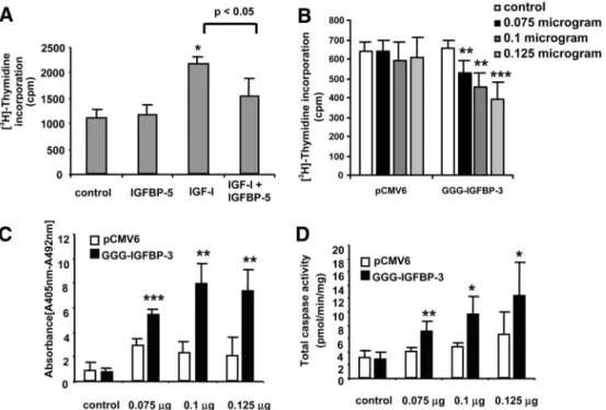 Fig. 4. Effects of insulin-like growth factor- factor-binding protein (IGFBP)-3 in an insulin-like growth factor (IGF)-independent manner