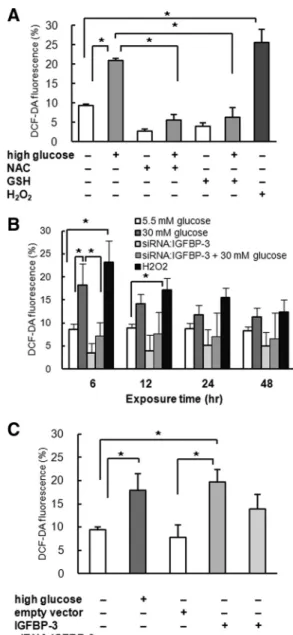 FIG. 3. A, Exposure to high-glucose medium for 6 h increased