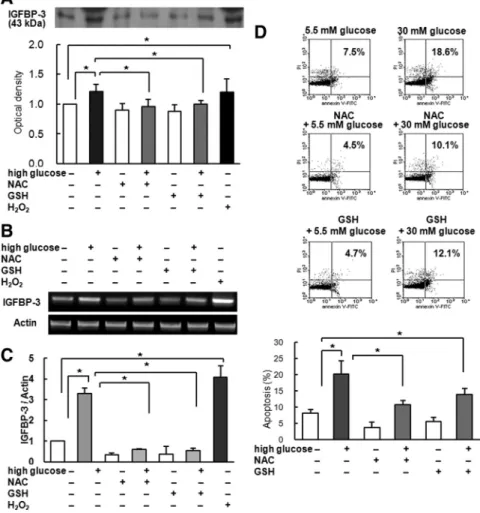 FIG. 4. Effect of antioxidants (NAC and GSH) on IGFBP-3 expression and apoptosis. A,