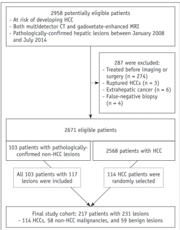 Fig. 1. Flowchart illustrating subject selection.  CT = computed  tomography, HCC = hepatocellular carcinoma, MRI = magnetic  resonance imaging