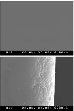 Fig. 7. SEM photographs of hard coating lens (top: surface, bottom = cross-section).