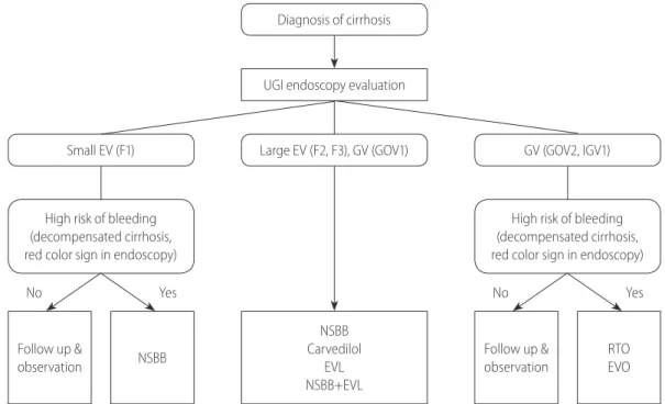 Figure 2.  The prevention of initial variceal bleeding. UGI, upper gastrointestinal; EV, esophageal varix; GV, gastric varix; GOV, gastroesophageal varix;  IGV, isolated gastric varix; NSBB, non-selective beta blocker; EVL, endoscopic variceal ligation; RT