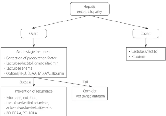 Figure 5.  The treatment and prevention of recurrence of hepatic encephalopathy. P.O., per oral; BCAA, branched-chain amino acid; IV LOLA,  intravenous L-ornithine-L-aspartate.