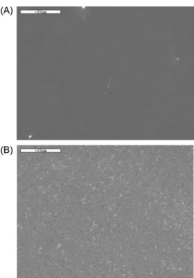 Fig. 18. Ultrastructure of anterior surface of after one month used of ez NANOsence II RGP contact lens by  scanning electron microscope