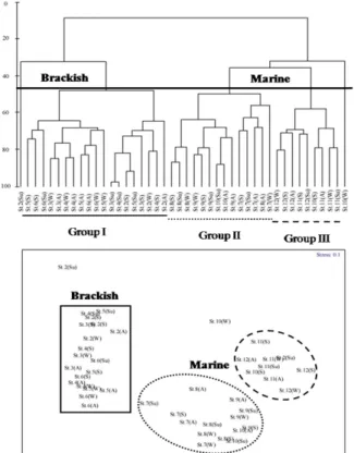 Fig.  8.  Dendrogram  for  hierarchical  clustering  (upper)  and  nMDS  configuration  (lower),  using  group-average  linkage  by  Bray-Curtis  similarities  calculated  on  the  4 th   square-root  transformed  abundance  data  in  Taehwa  River  Estuar