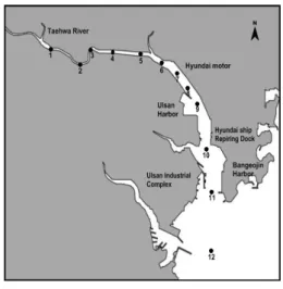 Fig.  1.  Location  of  sampling  stations  in  Taehwa  River  Estuary,  Ulsan,  Korea